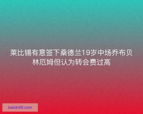 莱比锡有意签下桑德兰19岁中场乔布贝林厄姆但认为转会费过高